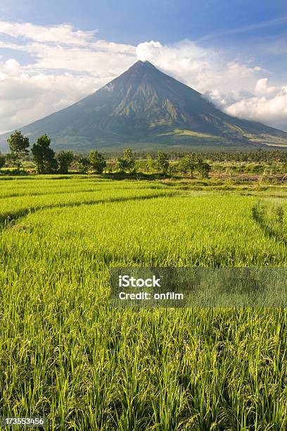 Perfetta Vulcano E Piantagioni Di Riso - Fotografie stock e altre immagini di Filippine - Filippine, Monte Mayon, Risaia