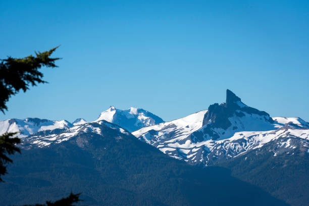 An African American man hiking, he is on top of the mountain - Black Tusk, Whistler