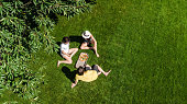 Family and friends eating pizza on summer picnic in park, relaxing on grass and having fun, aerial drone view from above