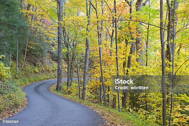 Foto de Smoky Mountain Outono Estradas Série Xxl e mais fotos de stock de Appalachia - Appalachia, Beleza natural - Natureza, Bosque - Floresta