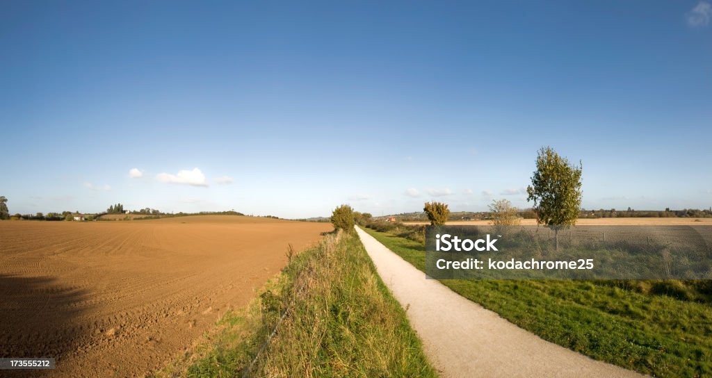 Chemin à travers la campagne - Photo de Agriculture libre de droits