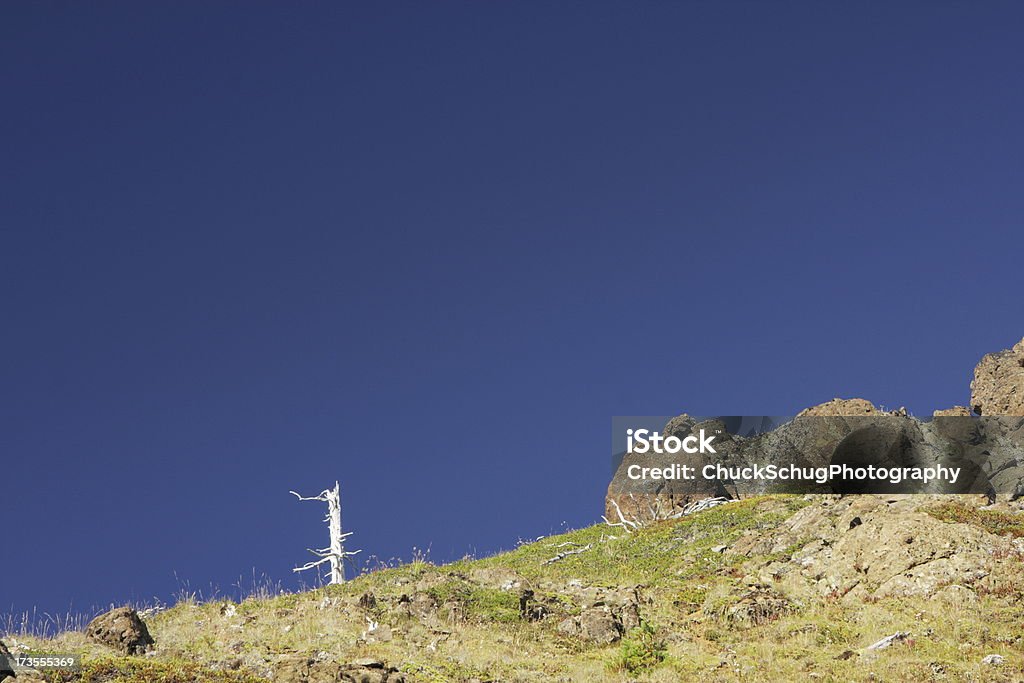 Pico da montanha morto Árvore Terreno Inóspito - Royalty-free Afloramento Foto de stock