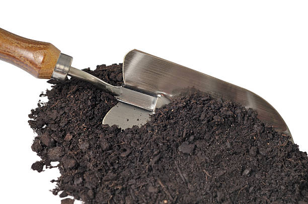 istock Garden trowel in soil 173555638