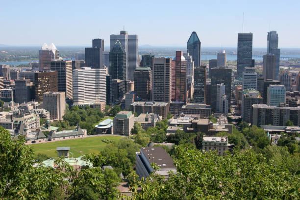 istock Summer in Montreal City 173555817