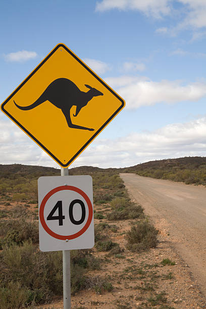 Australian Kangaroo road sign humour stock photo