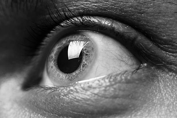 istock Macro shot of grey man's eye 173556519