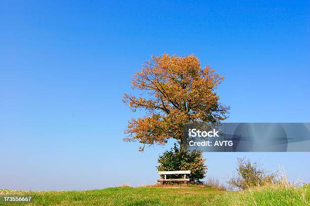 Ort Zum Ausruhen Stockfoto und mehr Bilder von Abgeschiedenheit - Abgeschiedenheit, Anhöhe, Baum