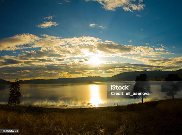 Lago Tramonto Panorama - Fotografie stock e altre immagini di Acqua - Acqua, Albero, Ambientazione