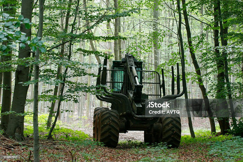 Forestry Machine heavy loader waiting for action Beech Tree Stock Photo