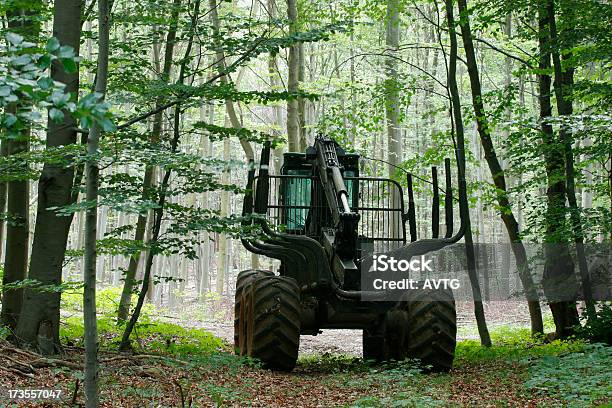 Forestry Machine Stock Photo - Download Image Now - Beech Tree, Business, Crane - Machinery