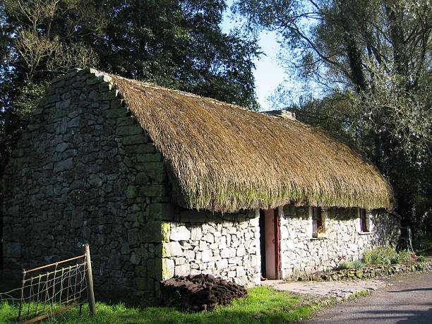 irlanda típicas del siglo xix cabaña (1 - cottage irish culture thatched roof banratty castle fotografías e imágenes de stock