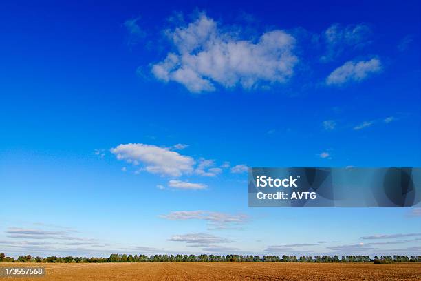 Céu De Outono - Fotografias de stock e mais imagens de Agricultura - Agricultura, Ajardinado, Ao Ar Livre