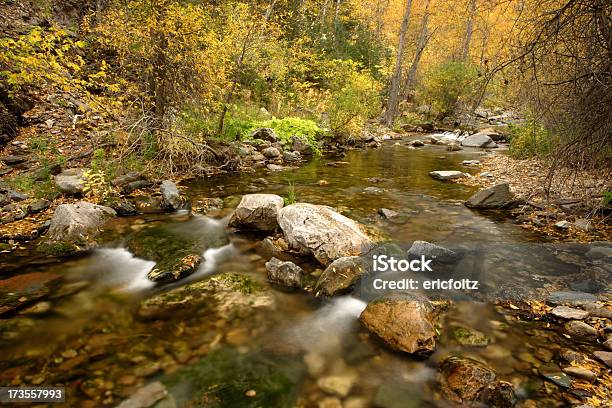 Spearfish Creek - zdjęcia stockowe i więcej obrazów Bez ludzi - Bez ludzi, Black Hills, Fotografika