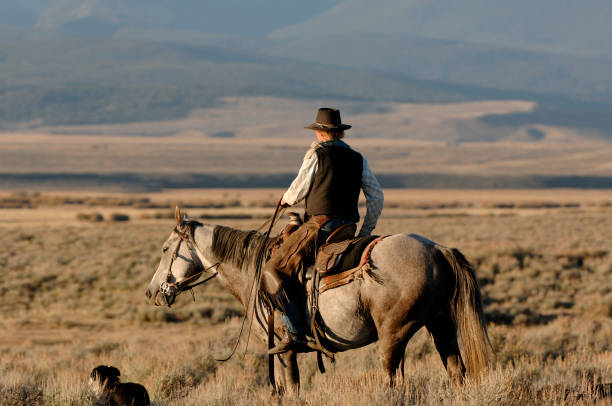 Cowboy on gray horse with dog following.
