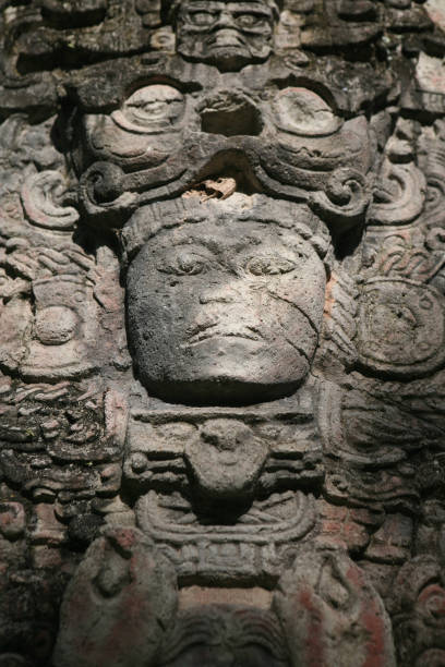 140+ Mayan Statue At Copan Honduras Stock Photos, Pictures & Royalty