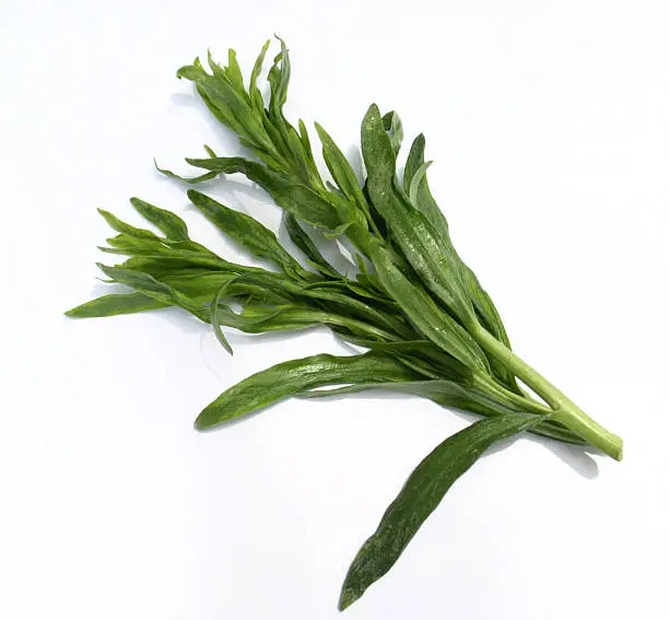 "A stalk of the herb, French Tarragon. Just washed and ready for use!"