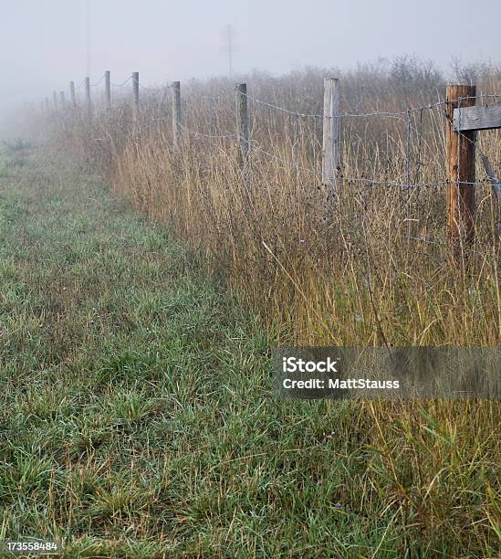 Pole Rano Mgła - zdjęcia stockowe i więcej obrazów Bez ludzi - Bez ludzi, Drewno - Tworzywo, Drut