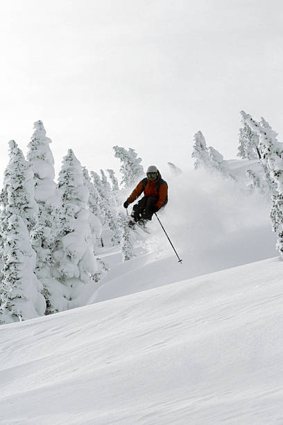istock Jumping out of the powder 173558502