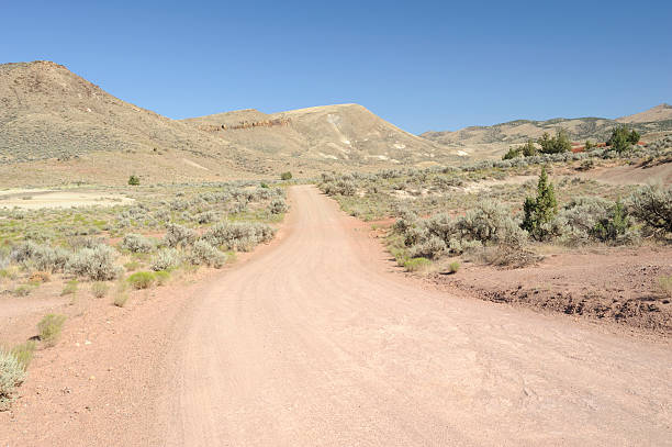 istock Dirt Road at John Day Fossil Beds NM 173558707