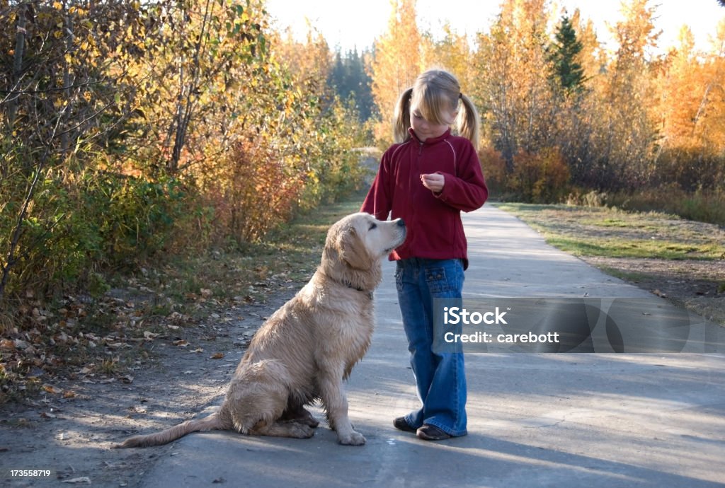 Girl enseñanza sentarse - Foto de stock de Galleta para perro libre de derechos