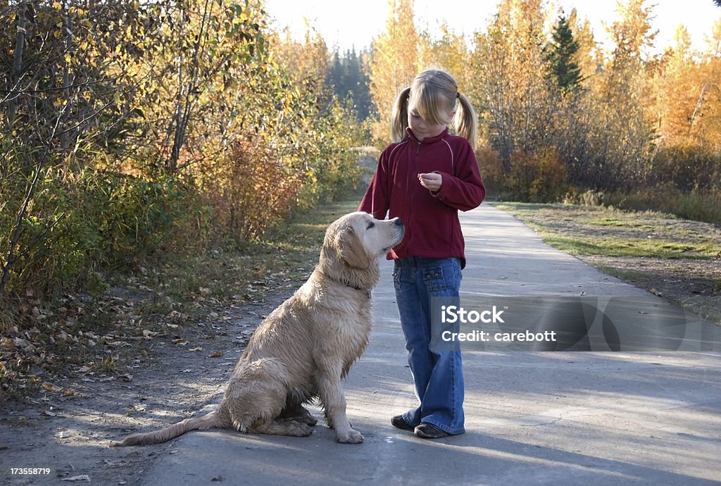 Fille enseignement Sit - Photo de Croquette pour chien libre de droits