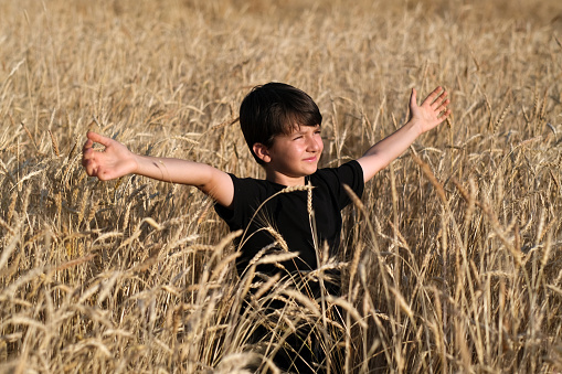 Little boy  in a wheat field