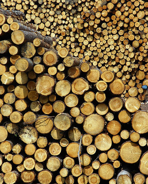 pile of logs stock photo