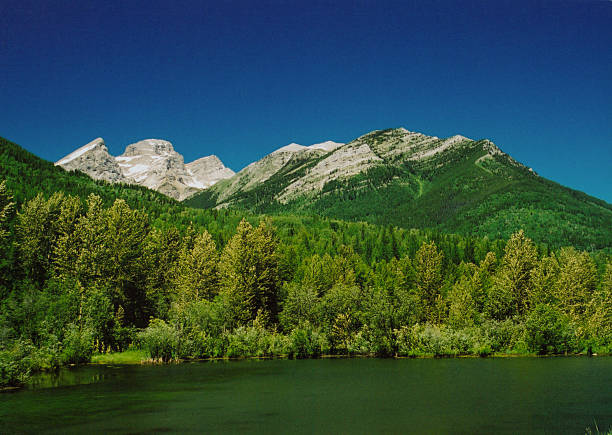 A Classic canadain scene view across a river towards trees and mountains
