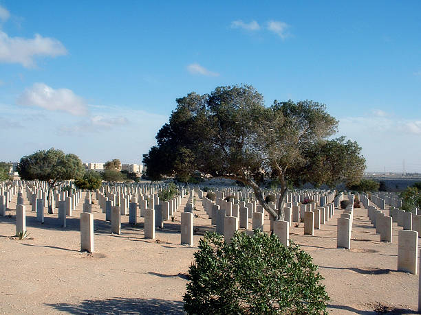 en al alamein cemetery- egipto - alamein fotografías e imágenes de stock