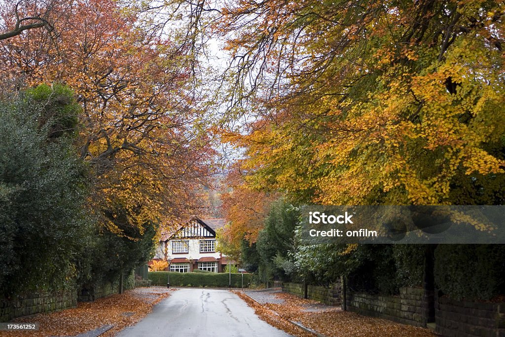 Suburbs in the Fall "Suburban road in Autumn / Fall. Location is Altrincham, Cheshire, UK." Cheshire - England Stock Photo