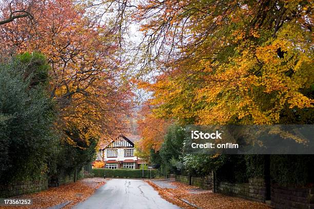 Suburbs In The Fall Stock Photo - Download Image Now - Cheshire - England, Autumn, Street