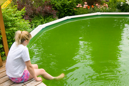 Spring day with girl sitting by the pool with disgustingly green water.