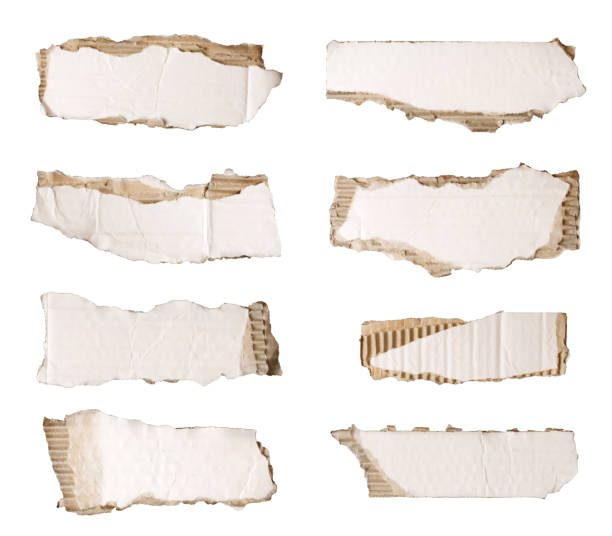 istock Set of tattered cardboard pieces 173561440