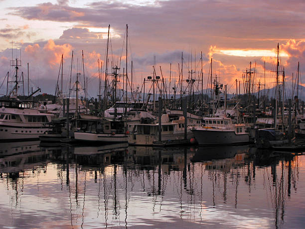 muelle al atardecer - harborage fotografías e imágenes de stock