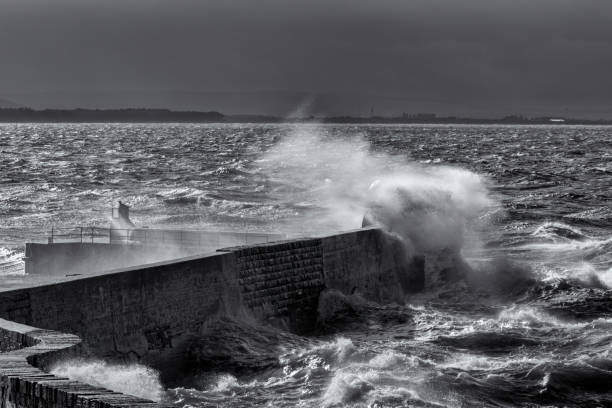 istock The Power of the Sea 1735616464