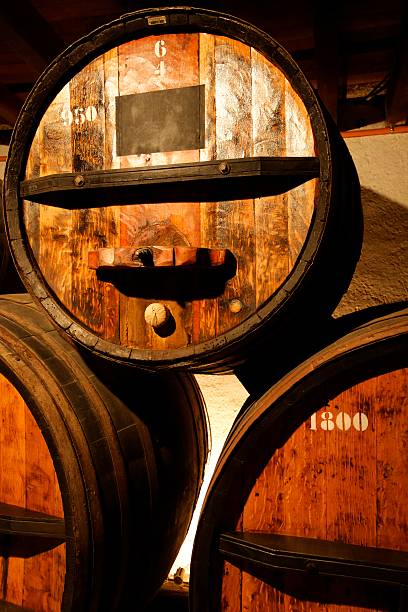 Wine barrels Wooden wine barrels in a wine cellar chilean wine stock pictures, royalty-free photos & images