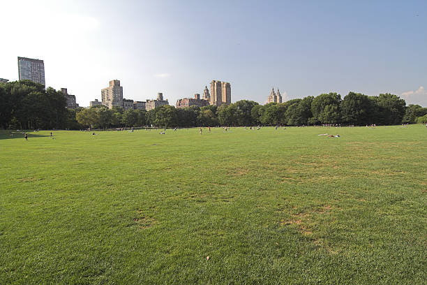 istock Central Park  New York City 173562252