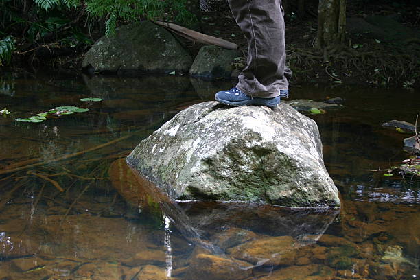 istock feet standing on a rock in stream 173562253