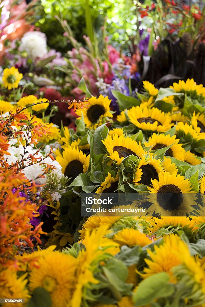 Bonito flores frescas em um mercado ao ar livre - Royalty-free Abundância Foto de stock