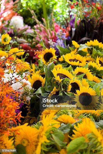 Bonito Flores Frescas Em Um Mercado Ao Ar Livre - Fotografias de stock e mais imagens de Abundância - Abundância, Ao Ar Livre, Arranjo de flores