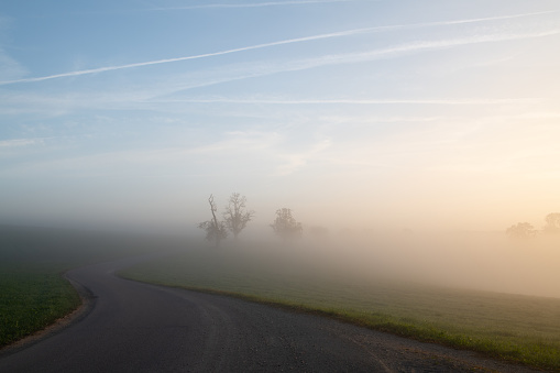 Landscape in the fog. The sun rises over a road that runs through the fog. Trees are hazy in the background. The sky is blue.