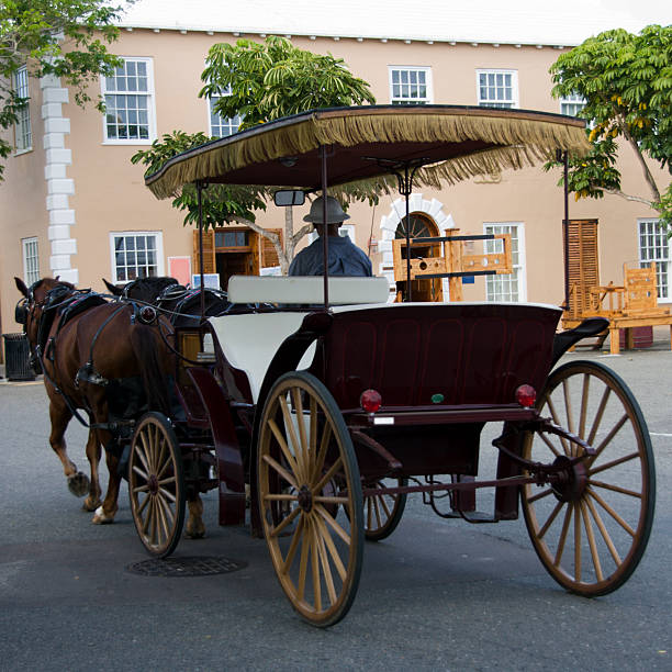 Bermudain horse and carriage stock photo