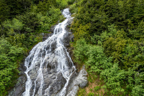 istock Aerial view of a waterfall flowing through a forest 1735629508