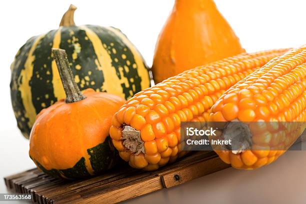 Autumn Fruits Stock Photo - Download Image Now - Agriculture, Autumn, Backgrounds