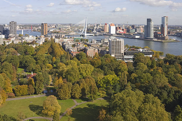 istock Rotterdam city view # 4 XL 173563880