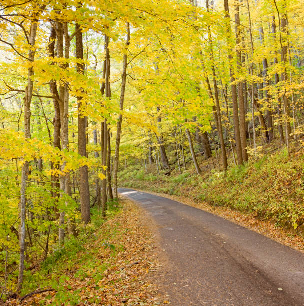 "smoky góra jesień drogi serii (xxl)" - gatlinburg road winding road tennessee zdjęcia i obrazy z banku zdjęć