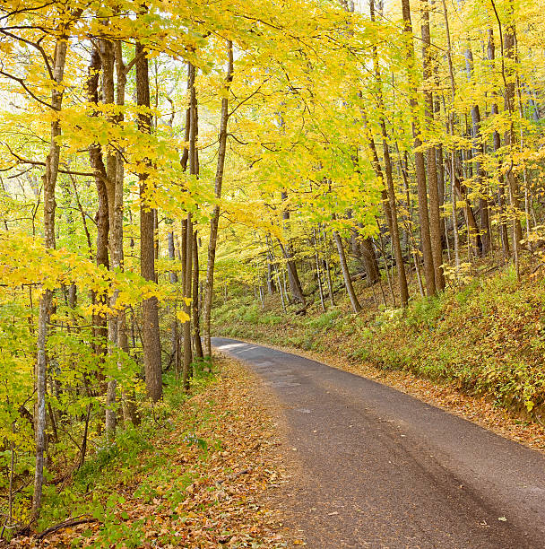 дымчатый горы осенью дорог series (xxl - gatlinburg road winding road tennessee стоковые фото и изображения