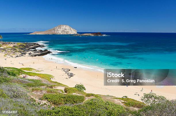 Foto de Hawaiian Praia e mais fotos de stock de América do Norte - América do Norte, Areia, As Américas