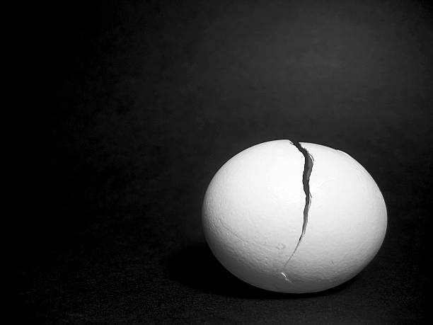 Cracked Egg stock photo