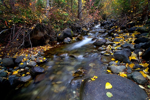 Autumn colors border Stafford Creek as it flows down from Navaho Pass toward the Teanaway River, in the Cascade Mountains of Washington.